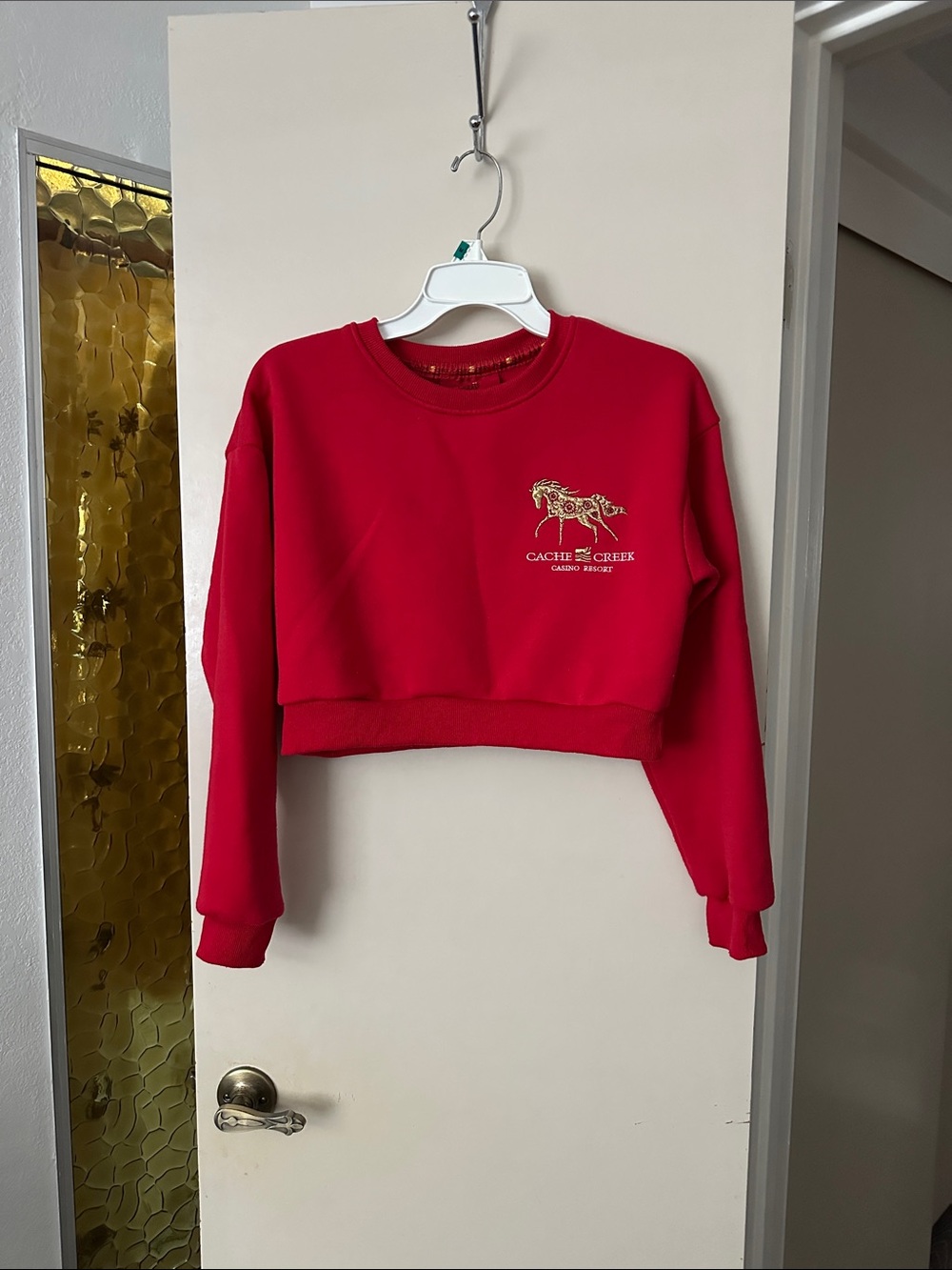 Red Cropped Sweatshirt - Women's